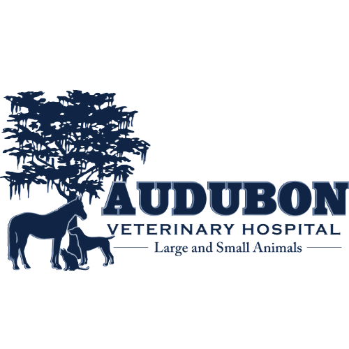 Home - Audubon Veterinary Hospital